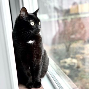 Meet your Posher, Hannah